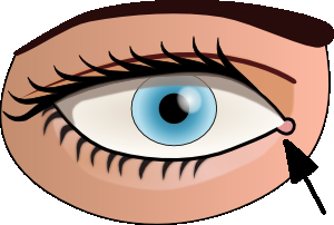 eye