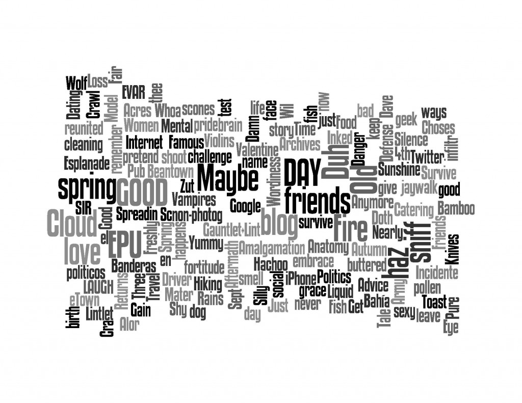 Wordle of words from the titles of my blog over the year 2009.